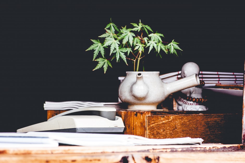  From Outlaw to Houseplant - Can There be Windowsill Cannabis? 