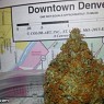 Denver Cannabis Cup 2015 Results / Winners