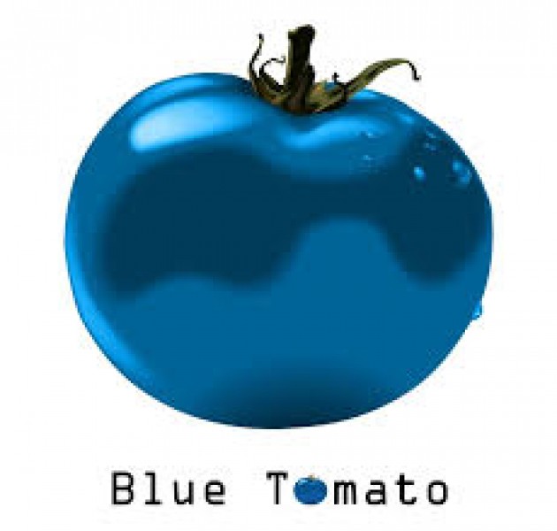 Blue Tomato Coffeeshop Hoorn