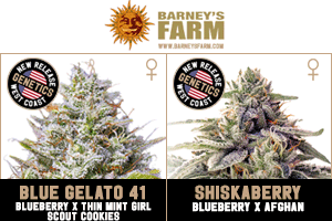 Barney's Farm