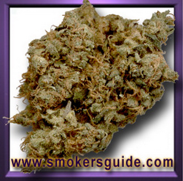 www.smokersguide.com