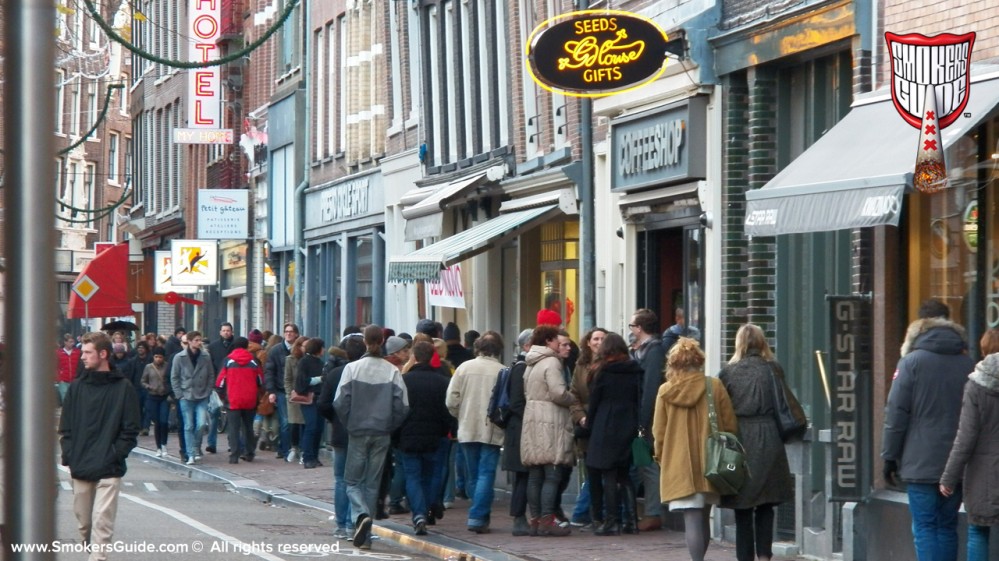 Greenhouse coffeeshop haarlemmerstraat