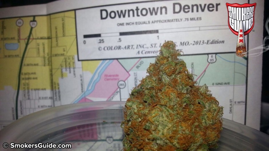 Denver Cannabis Cup 2015 Results / Winners