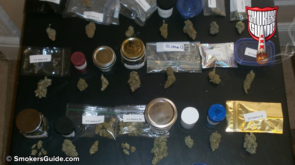 Denver Cannabis Cup Entries - Testing 30 US Sativas for 420