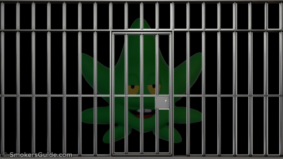 The War on Us: The Drug War vs Cannabis Freedom