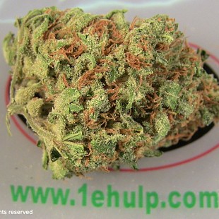 SG Sweet n Sour 1e Hulp (2)