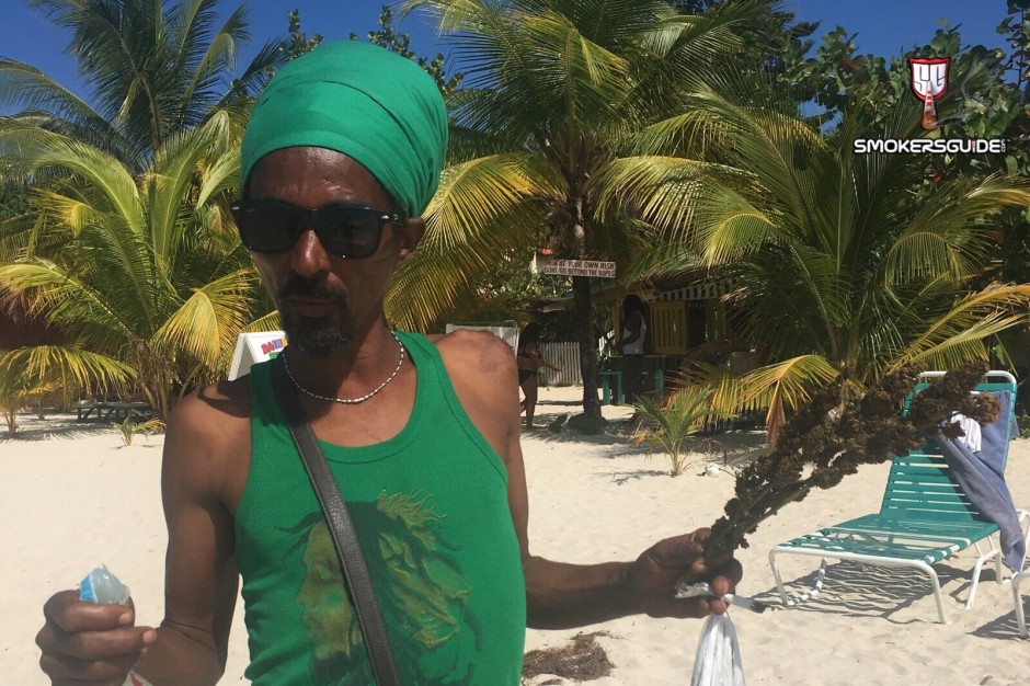  Purchasing Cannabis in Jamaica as a tourist