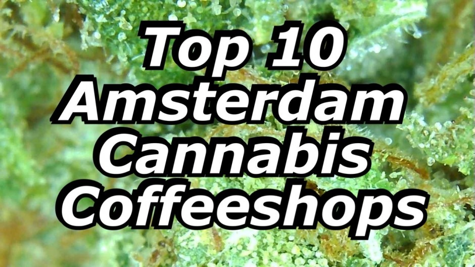 Top 10 Amsterdam Coffeeshops - video tours