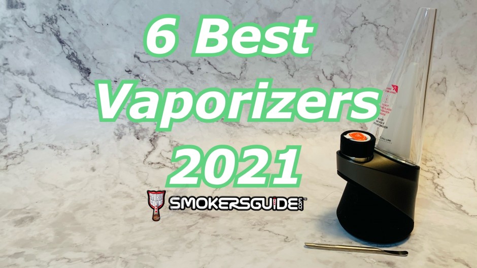  The 6 Best Vaporizers in 2021