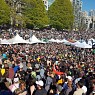 420 Canada Parties Ripped!