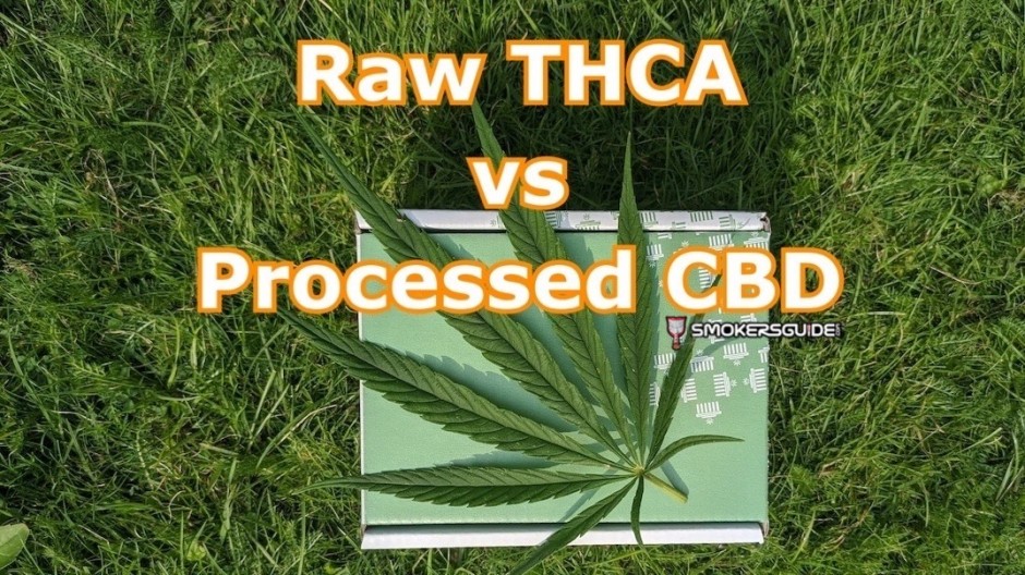 Natural Vs. Processed: A Look at the Differences Between Raw THCA and Processed CBD