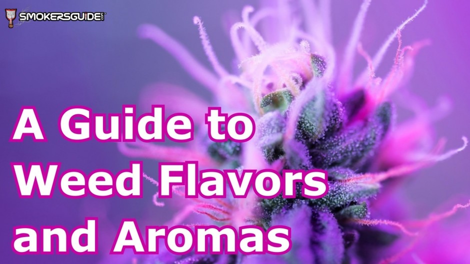  A Guide To Weed Flavors And Aromas