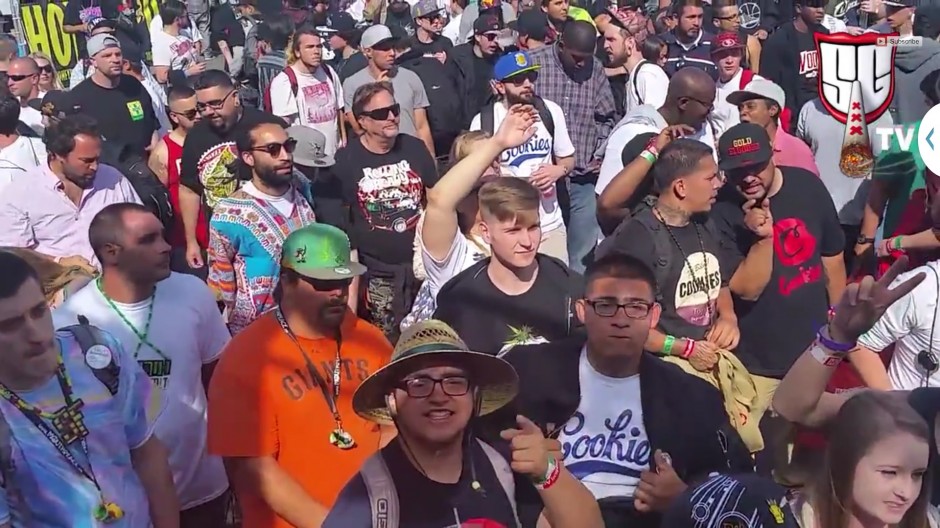 NorCal Cannabis Cup 2015 - High Times San Francisco Medical Marijuana