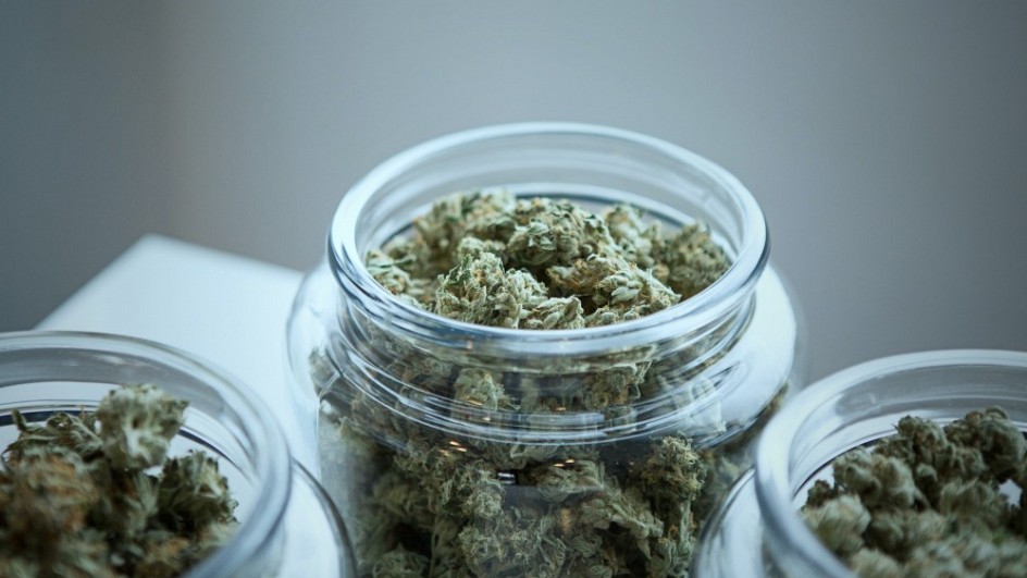 add-weed-Bu6BSErSL M-unsplash