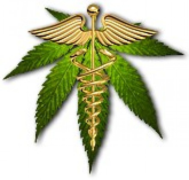 Alpha Medic Inc