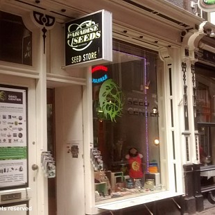 SG Amsterdam Seed Center (8)