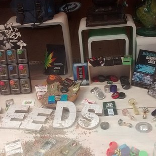 SG Amsterdam Seed Center (6)