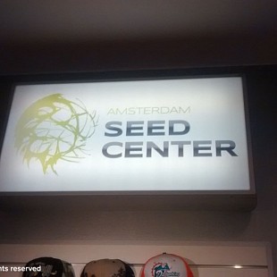 SG Amsterdam Seed Center (1)