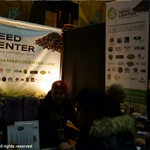 SG Amsterdam Seed Center Cannabi