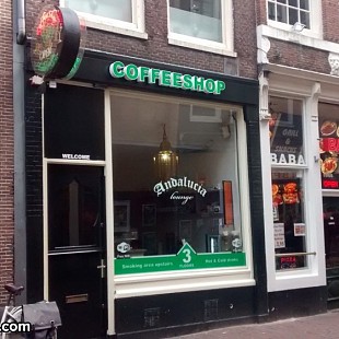SG Andalucia Lounge Coffeshop