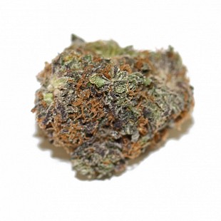 Cypress  Alphadawg 