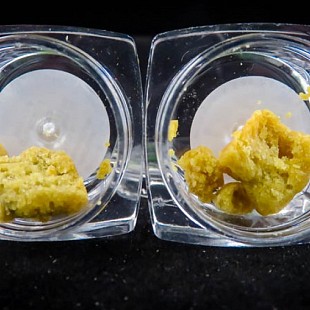 EllicitLabs