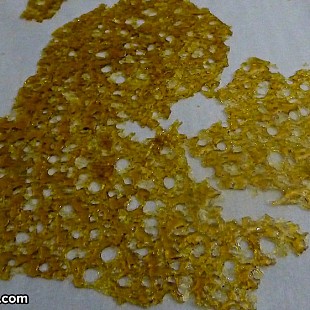 SG Emerald Cup 2014 BJ extracts 