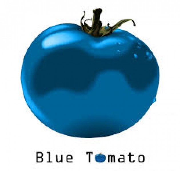 Blue Tomato