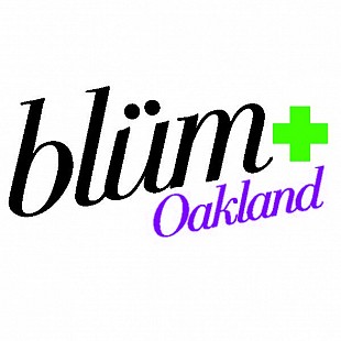 BlumLetterheadLogo[1]