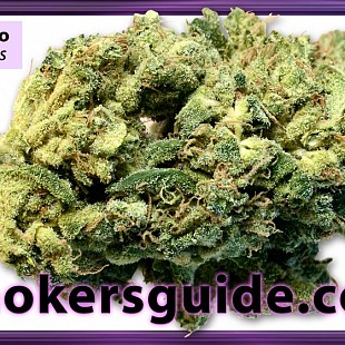 SG White Choco-Boerejongens-Weed