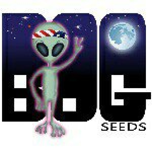 BOG Seeds