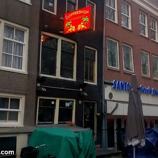 SG Bushdocter Coffeeshop Thorbec