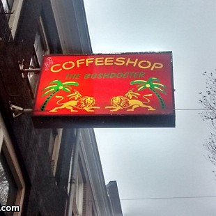 SG Bushdocter Coffeeshop Thorbec