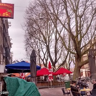 SG Bushdocter Coffeeshop Thorbec
