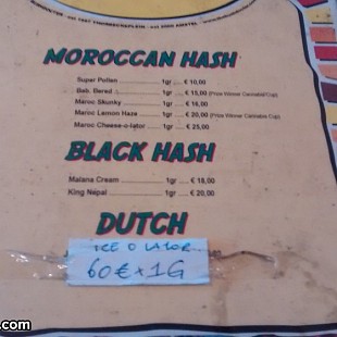 SG Bushdocter Coffeeshop (4)