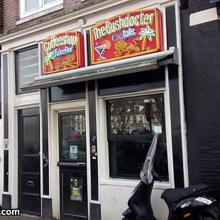 SG Bushdocter Coffeeshop (6)