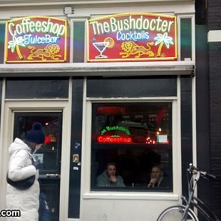 SG Bushdocter Coffeeshop (1)