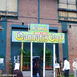 SG Entrance Cannabis Cup 2013