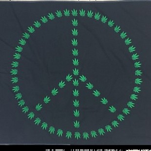 CD42000615image-300x300[1]