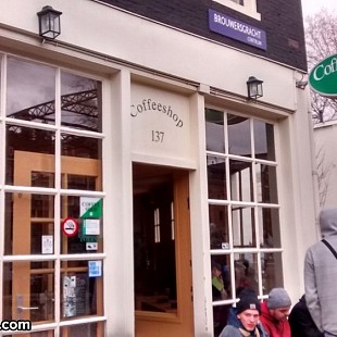 SG Coffeeshop 137 (1)