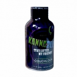 couchlock1-300x298