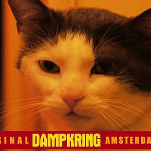 dampkring-coffeeshop-amsterdam-b