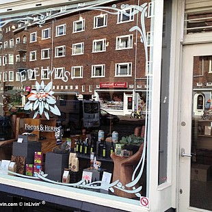GLG 08 SS Edel Wijs (10)