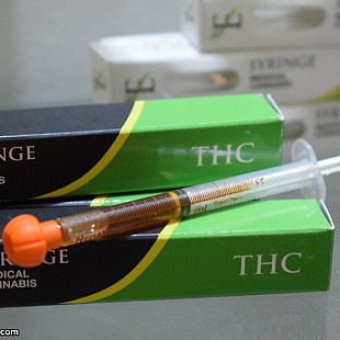 SG-Jamaica13