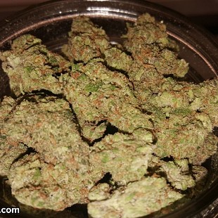 SG Greenman Cannabis Dispensary 