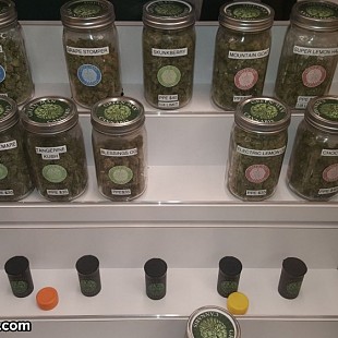 SG Greenman Cannabis Dispensary 