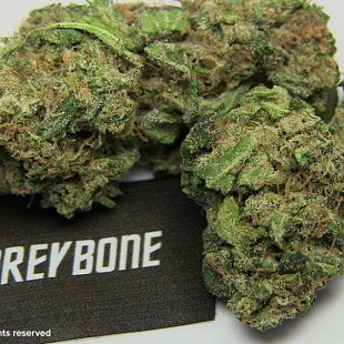 1398278 763862876994525 60787896