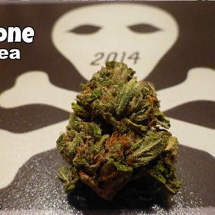 10648589 763483027032510 7750853