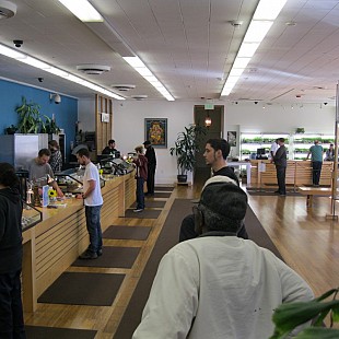HHC1
