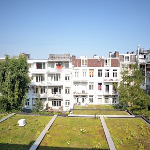 DSC 5952